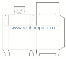Image1