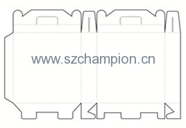 Image1
