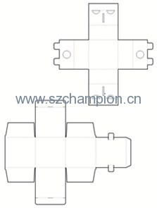 Image1