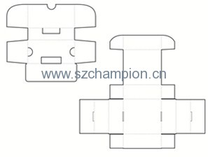Image1